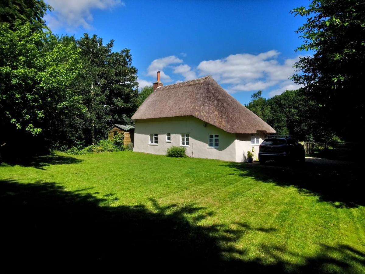 Honeysuckle Cottage Dorchester Buitenkant foto