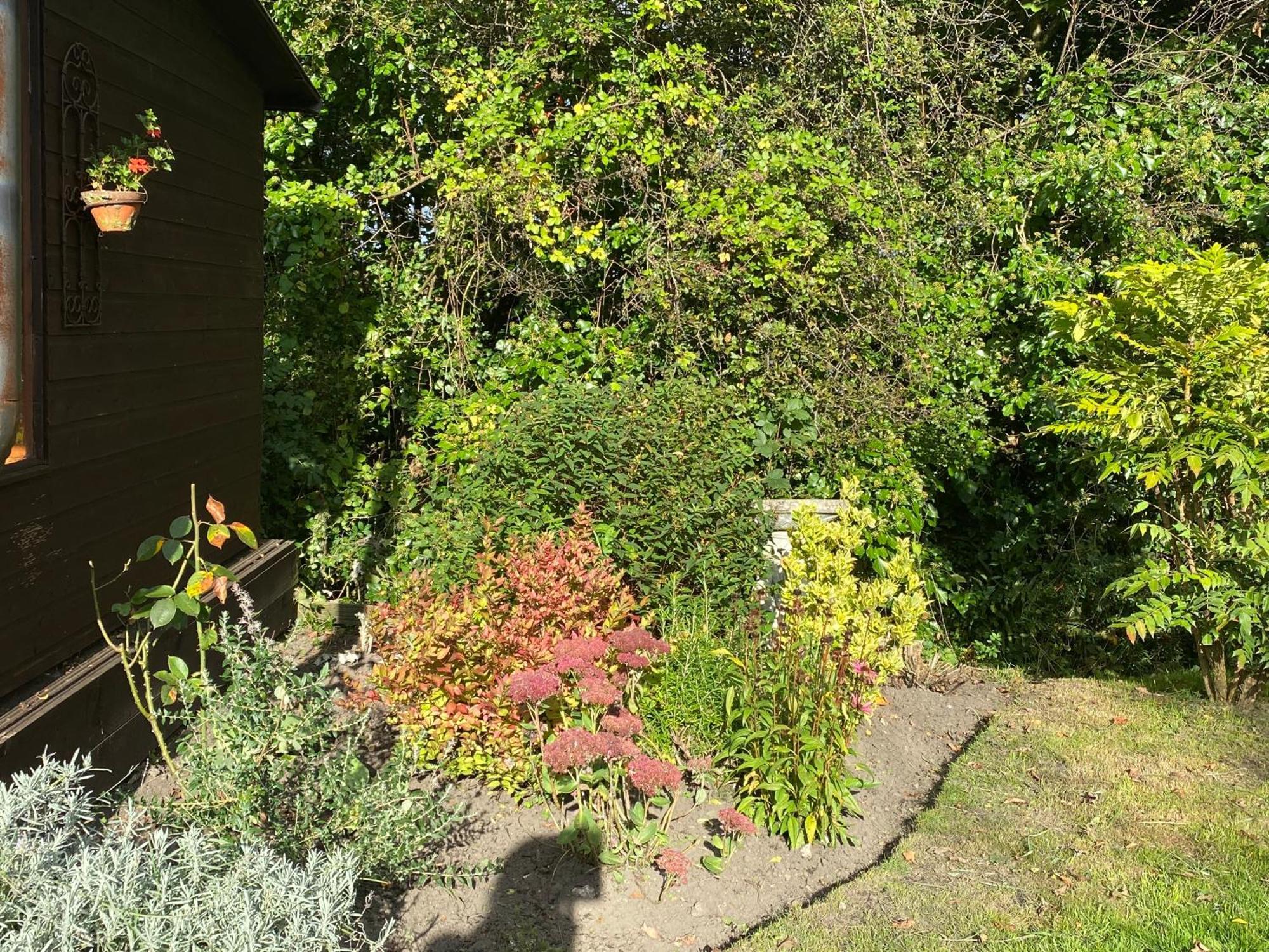 Honeysuckle Cottage Dorchester Buitenkant foto